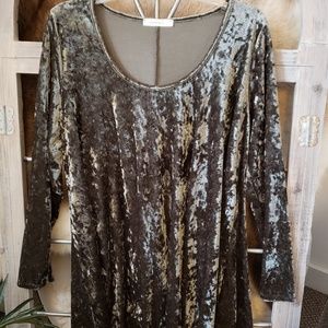 Sage Green Velvet Swing Dress 2X